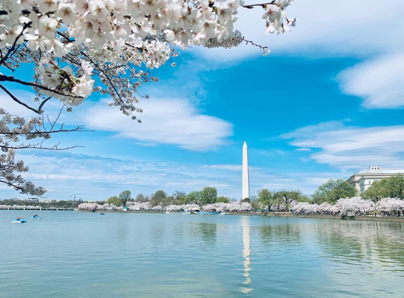 Washington DC